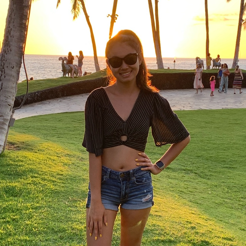 XXS American Eagle Cropped Top
